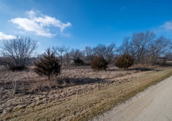 320 Vermillion, DIXON, Illinois 61021, ,Land,For Sale,Vermillion,202300871