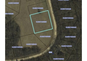 3-398R White Tail, LAKE CARROLL, Illinois 61046, ,Land,For Sale,White Tail,202401835