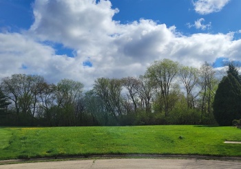 6485 Shiloh, ROCKFORD, Illinois 61107, ,Land,For Sale,Shiloh,202401953