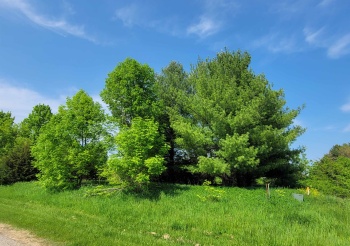 1 Bluffwood, GALENA, Illinois 61036, ,Land,For Sale,Bluffwood,202402392