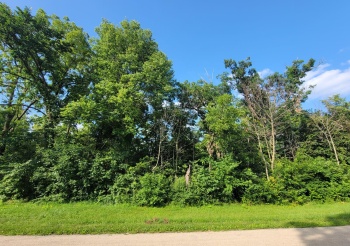 43 Lookout, GALENA, Illinois 61036, ,Land,For Sale,Lookout,202404014