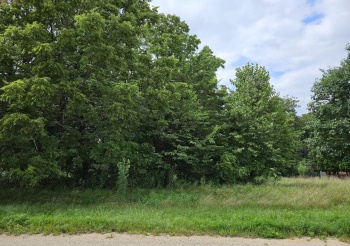 31 Shorewood, GALENA, Illinois 61036, ,Land,For Sale,Shorewood,202404141