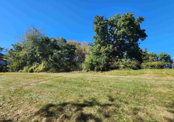 5-53R Chadbourne, LAKE CARROLL, Illinois 61046, ,Land,For Sale,Chadbourne,202404784