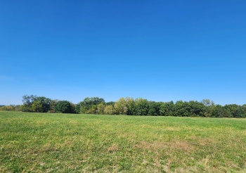 24-22 Lake Carroll, LAKE CARROLL, Illinois 61046, ,Land,For Sale,Lake Carroll,202404786