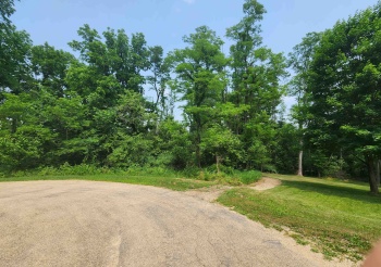 19-58 Woodland, LAKE CARROLL, Illinois 61046, ,Land,For Sale,Woodland,202404787