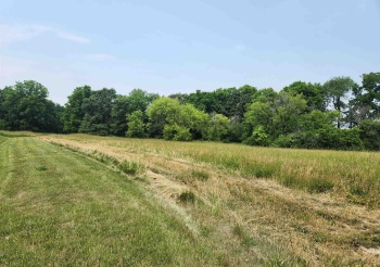 5-35R Warwick, LAKE CARROLL, Illinois 61046, ,Land,For Sale,Warwick,202404788