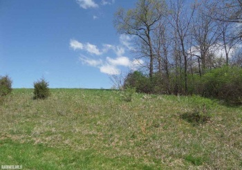 25-26 Lake Carroll, LAKE CARROLL, Illinois 61046, ,Land,For Sale,Lake Carroll,202404932