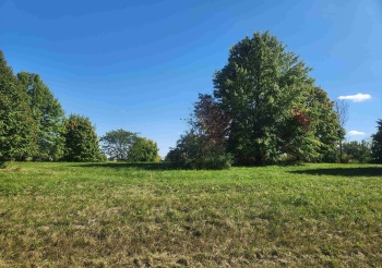 31-28 Cog Hill, LAKE CARROLL, Illinois 61046, ,Land,For Sale,Cog Hill,202405703