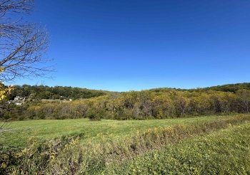 91 Shenandoah, GALENA, Illinois 61036, ,Land,For Sale,Shenandoah,202405941