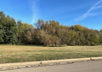 1051 SHIMER, FREEPORT, Illinois 61032, ,Land,For Sale,SHIMER,202405960