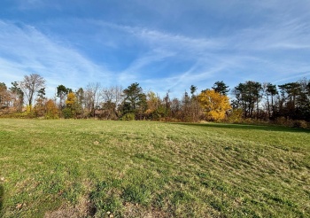 7696 Owl Trl, ROCKFORD, Illinois 61114, ,Land,For Sale,Owl Trl,202406215