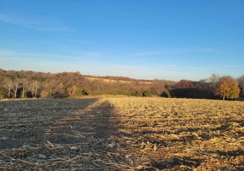 TBD High Ridge, EAST DUBUQUE, Illinois 61025, ,Land,For Sale,High Ridge,202406277